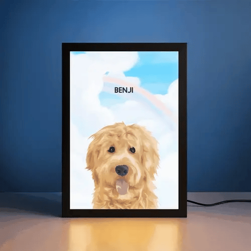 Portrait Animal De Compagnie LED