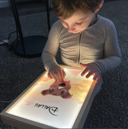 Portrait Animal De Compagnie LED