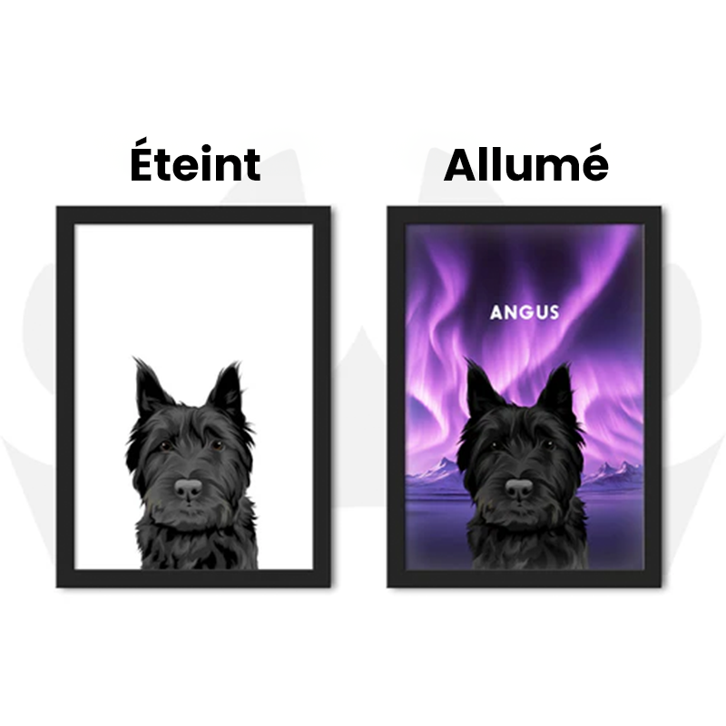 Portrait Animal De Compagnie LED