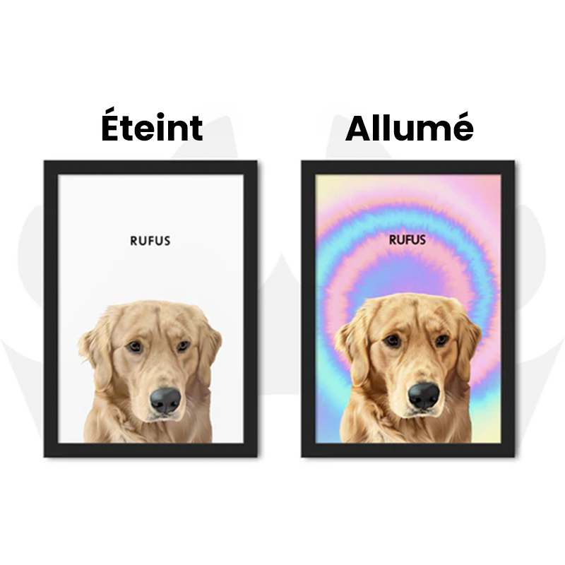 Portrait Animal De Compagnie LED