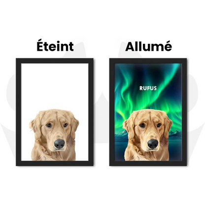 Portrait Animal De Compagnie LED
